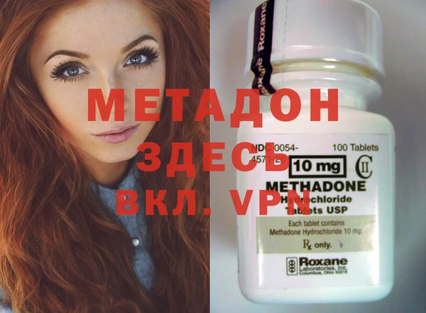 сатива Сураж